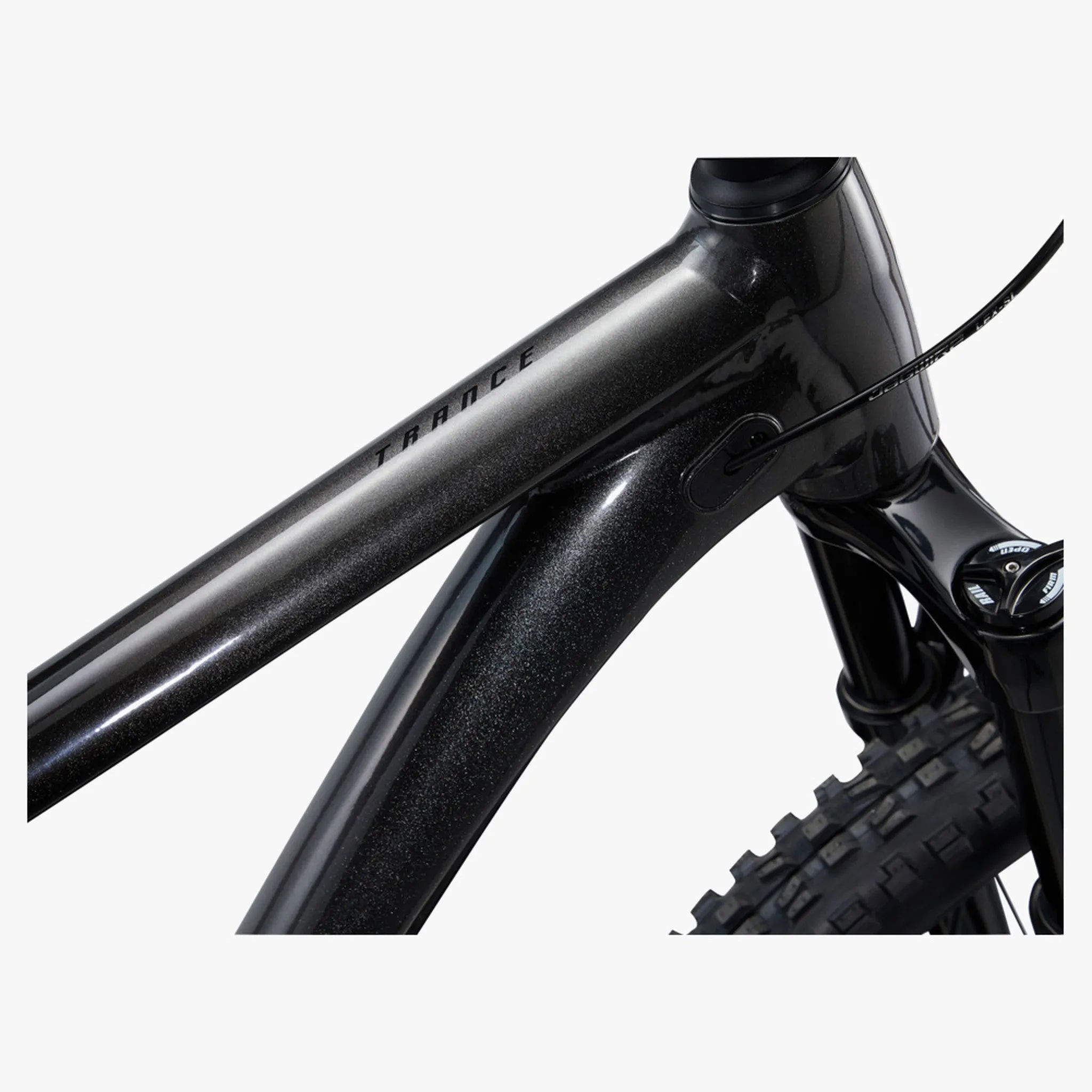 2022 Giant Trance 29 2