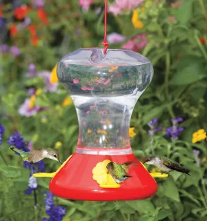 Fliteline Hummingbird Feeder