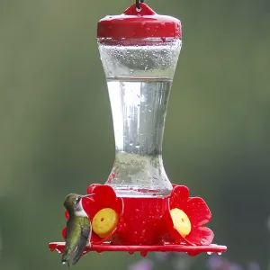 Impatiens Hummingbird Feeder
