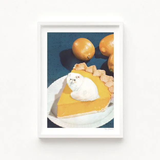 'Lemon Meow Pie' Art Print by Vertigo Artography
