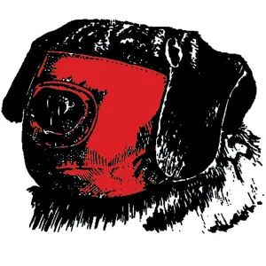Muzzles - Pug Nosed