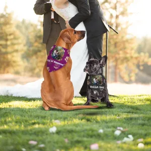 Pet Bandana